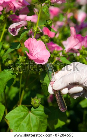 hand holding test tube with pink liquid and flower outdoors in the garden