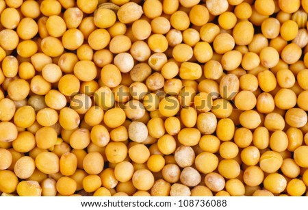 Mustard seeds  as food background