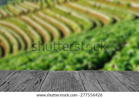 Defocus and blur image of old wood and Beautiful landscape and fresh strawberries farm at Chiangmai ,Thailand for background usage