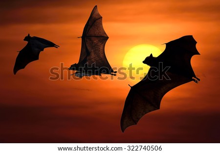 Halloween night with bats flying at sunset