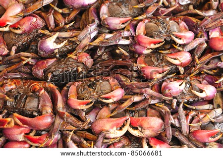 MEDER\'S MANGROVE CRAB,crab in market at Thailand, Sesarma mederi