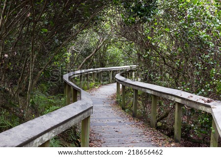 Raised wooden observation trail in Shark Valley, Everglades, Florida