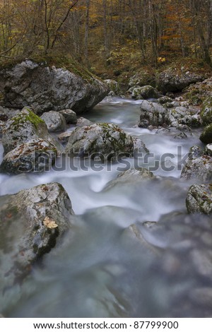 River stream in autumn forest (stream Kozjak, Soca valley, Slovenia)