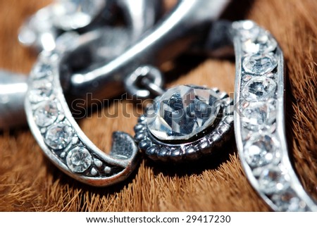 Silver jewelry on a furry background