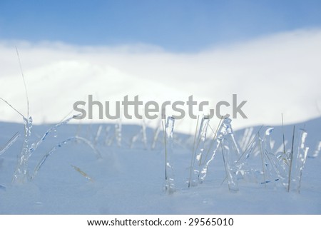 A view of frozen, ice covered grass, poking through deep snow with mountains in the background