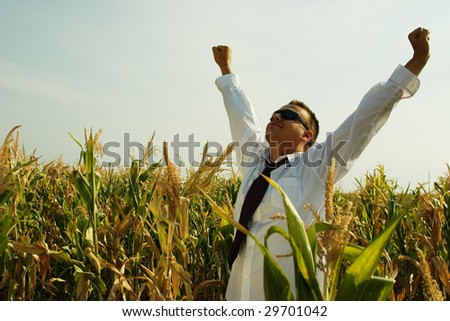 Business man in a corn field, with his hands lifted in the air; embracing freedom concept