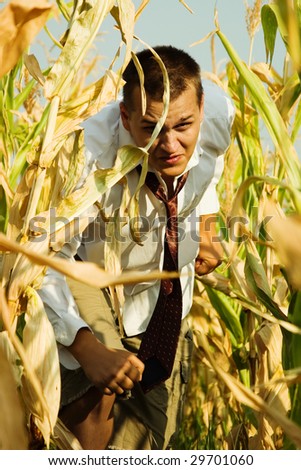 Business man in a corn field, running, looking stressed out