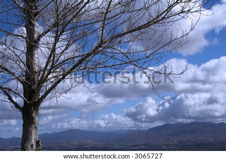 Vista view with winter tree and clouds