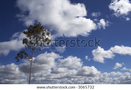 lone tree with clouds speaks to solitary.  It speaks to the changing of weather and the ability for one to stand alone.