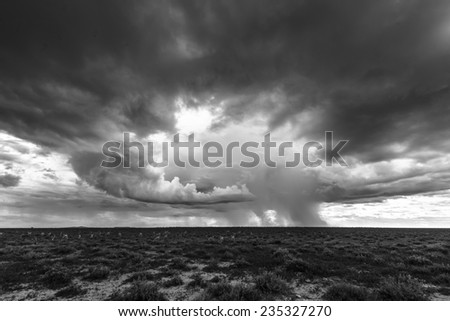 Thunder and Lightning in Etosha