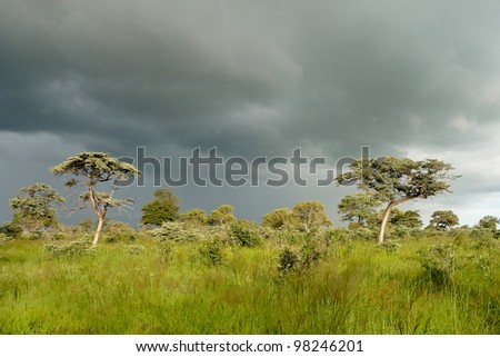 Thunderstorm in Southern Africa