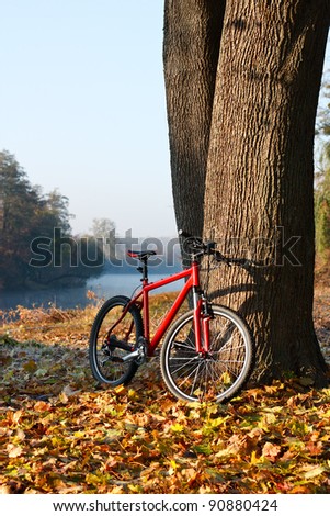 Red bike lit the rays of bright morning sunlight standing near a trunk large tree