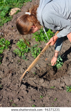 Woman is engaged in weeding the garden. Agriculture