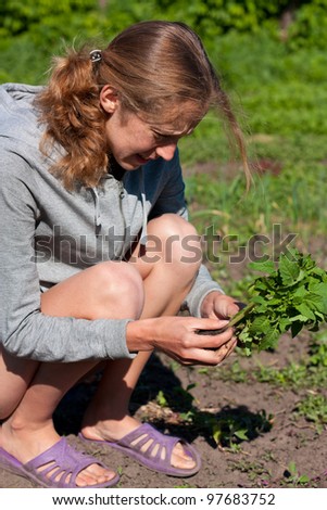 Young Woman with Tomato Seedlings in hands in the Garden. Planting Seedlings of Tomatoes