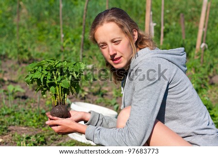 Young Woman with Tomato Seedlings in hands in the Garden. Planting Seedlings of Tomatoes