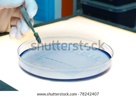 Science DNA research testing in University Laboratory