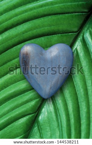 Photo of a blue wood heart on top of a tropical plant background.