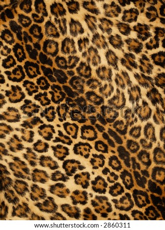 Leopard Background on Leopard Print Background Stock Photo 2860311   Shutterstock