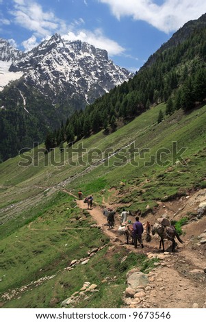 Mountain trekking in the Himalayas of Kashmir, India.  Four men and horses follow the trail to the base of a mountain.