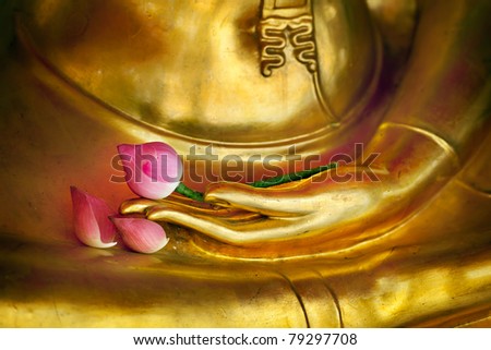 buddha hand lotus