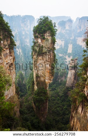 Zhangjiajie National forest park, Wulingyuan, Hunan Province, China