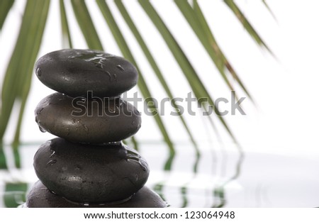 Green leaves over zen stones pyramid on water surface