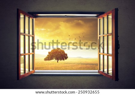 Looking out an open window to a sunny spring countryside landscape