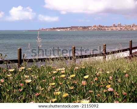 Portuguese Atlantic coast with the village of Cascais in the background and a fence with flowers in the foreground.