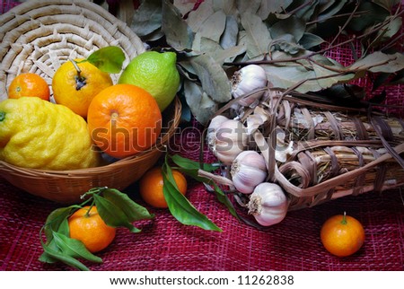 Rustic Still-life arrangement with lemons, tangerines, garlic and laurel