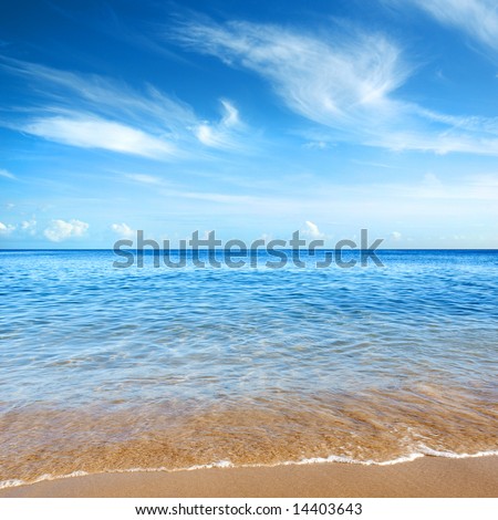 Beautiful Seashore