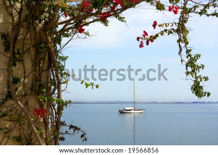 Calm scene with a anchored sail boat in a frame of a flowery branch.