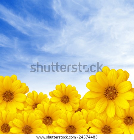 Beautiful yellow flower band over blue sky