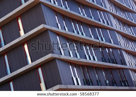 tall narrow windows