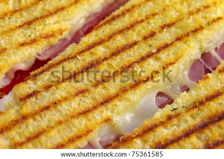 Close-up on a delicious looking toast with ham and melting cheese