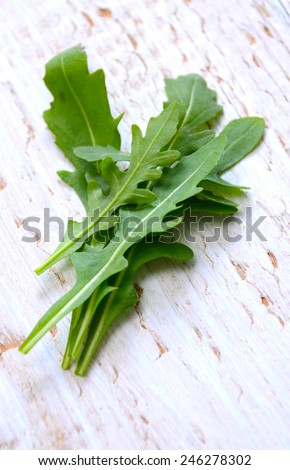 Fresh arugula / salad rocket / roquette / rucola leaves