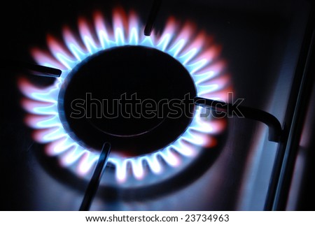 Gas Flame of a Gas Range