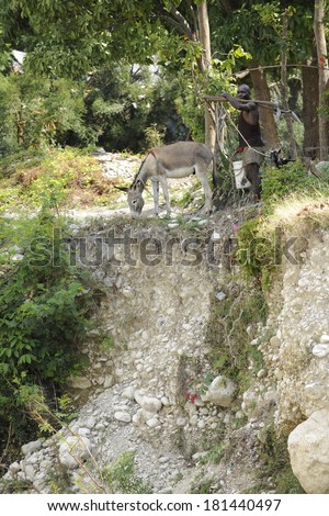 MOUNTROUIS, HAITI - FEB 10, 2014:  unidentified man carrying hand tools.  He's walking beside his burro and goat along the edge of a stony cliff.