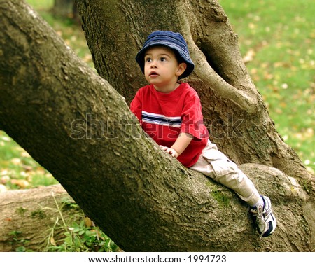Tiny tree-climber, sitting in 