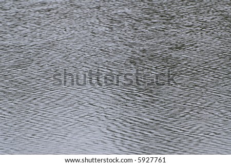 Abstract criss-cross pattern made of tiny ripples on the surface of a pond.