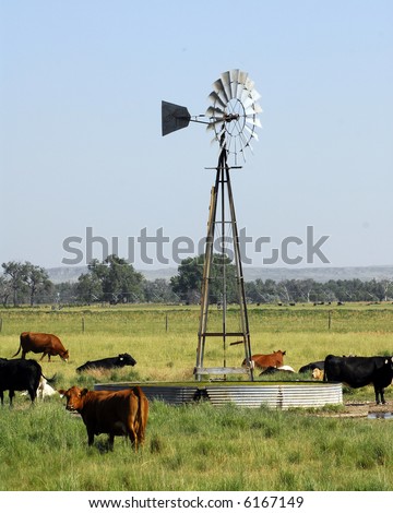Windmill powered pump surrounded by cattle.