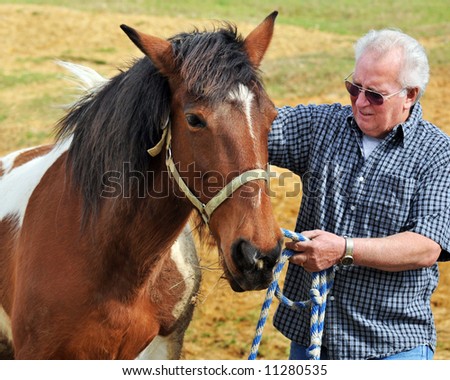 A senior man working with his horse on a sunny day.