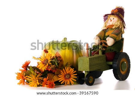 A scarecrow on a wooden tractor by a simple pumpkin and fall flower display.  Isolated on white.