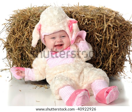 Baby Lamb Halloween Costume on Happy Baby Sheep Laughing Against A Bale Of Hay  Isolated On White