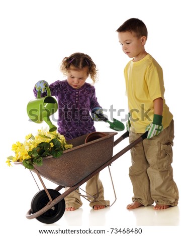 A young brother and sister preparing the plant flowers in their garden.  Isolated on white.