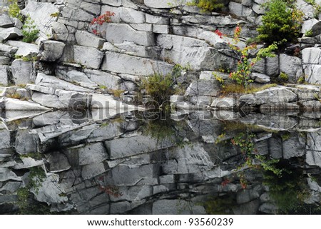 The symmetry of reflections on rocks and wild plants growing in a water-filled quarry.