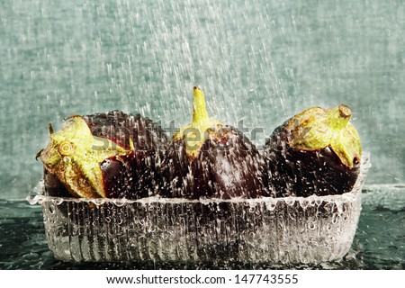 three eggplant in a transparent container in a stream of water droplets and splashes of water, black background.