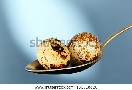 Two quail eggs in a large tablespoon spoon photo on a blue background.