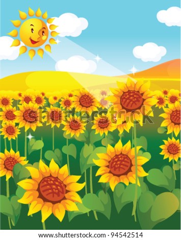 sunflower field and sun