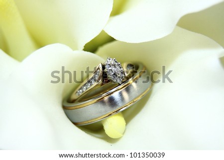 Wedding rings in lily flower close up