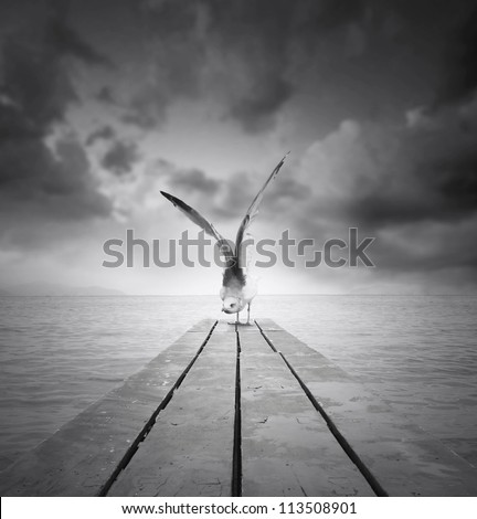 Beautiful gull with a wingspan resting on a pier at the beach with dramatic sky in black and white
